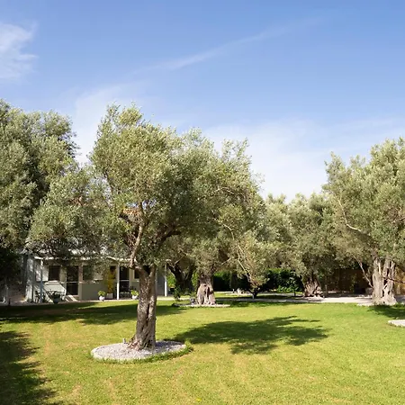 Apartamento Elaia - & Lefkáda