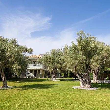 Elaia - & Apartamento