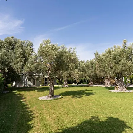 Apartamento Elaia - &